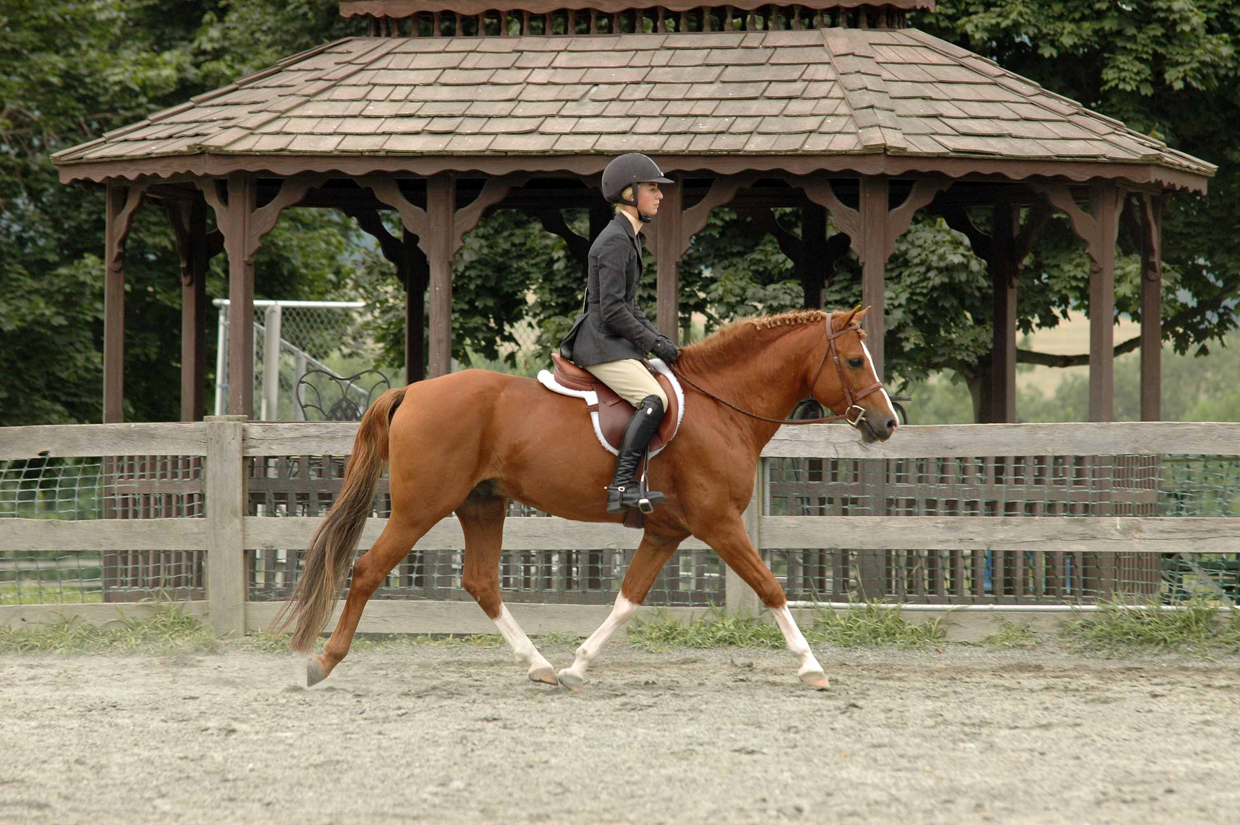 MD2009katedresdantrotright.jpg