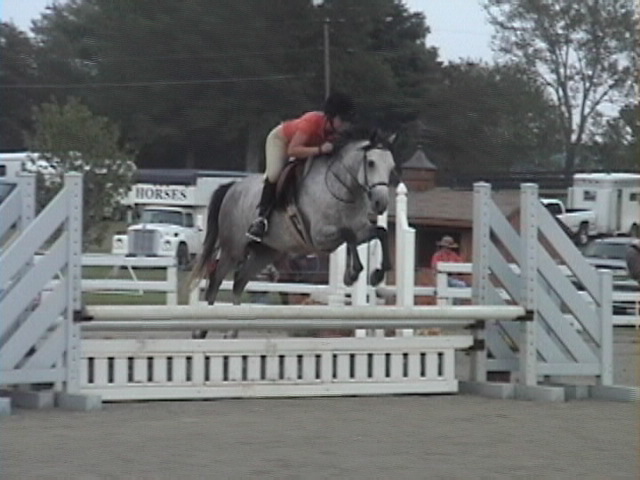 dsc00022.jpg