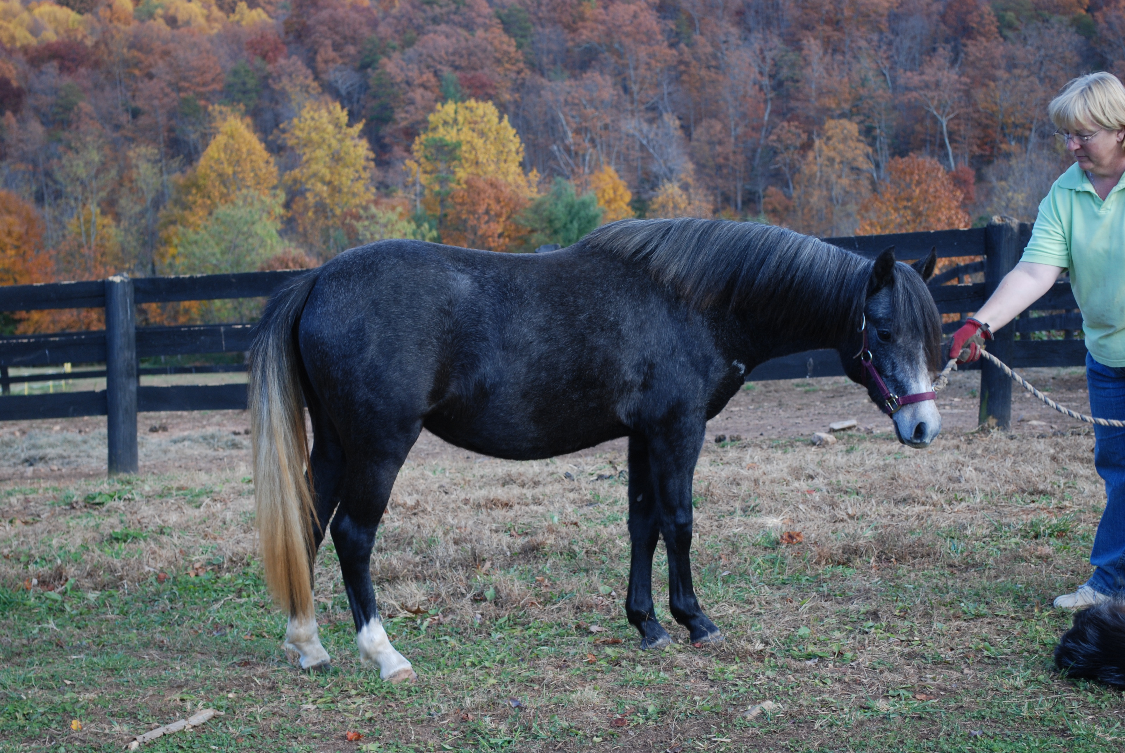 dsc_0079.jpg